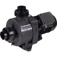 Насос Hayward HCP09101E2 KNG100 M.B IE2 (220 В, 15.9 м3/ч, 1 HP)