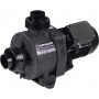 Насос Hayward HCP09101E2 KNG100 M.B IE2 (220 В, 15.9 м3/год, 1 HP)