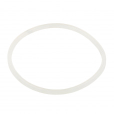 Уплотнительное кольцо Emaux хлоратора SSC 2021044