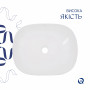 Комплект Qtap Aquarius: Раковина накладна прамокутна 470x380x120 мм White + Донний клапан PU02