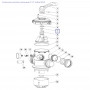Кільце ущільнювача Aquaviva для ротора крана 1,5"/2.0" Top Mount 2011022