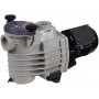 Насос Kripsol Ondina OK 33 IE2 (220 В, 7 м3/ч, 0.33 HP)