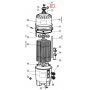 Манометр для фильтров Hayward SwimClear (ECX2712B1)