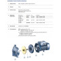 Насос центробежный Pedrollo CPm 160В