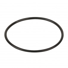 Уплотнительное кольцо крышки префильтра насоса Aquaviva SWIM 025-150