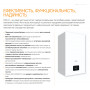 Настінний газовий котел Ferroli DIVA D F24
