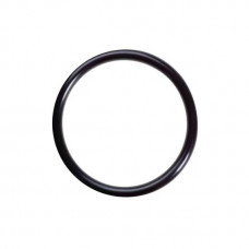 Уплотнительное кольцо Aquastrong 102*5.4